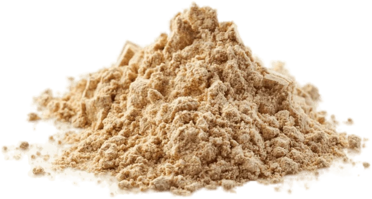 Illustration accompanying Maca Root Extract